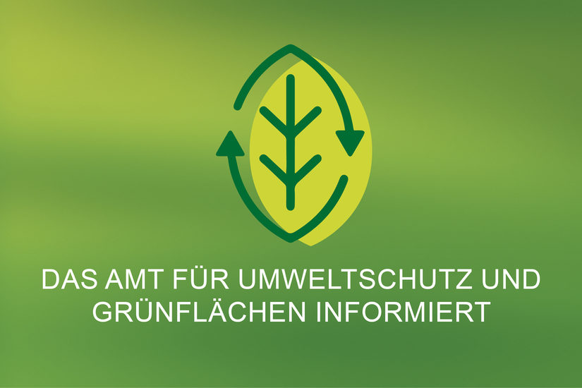 StA67_V1_informiert