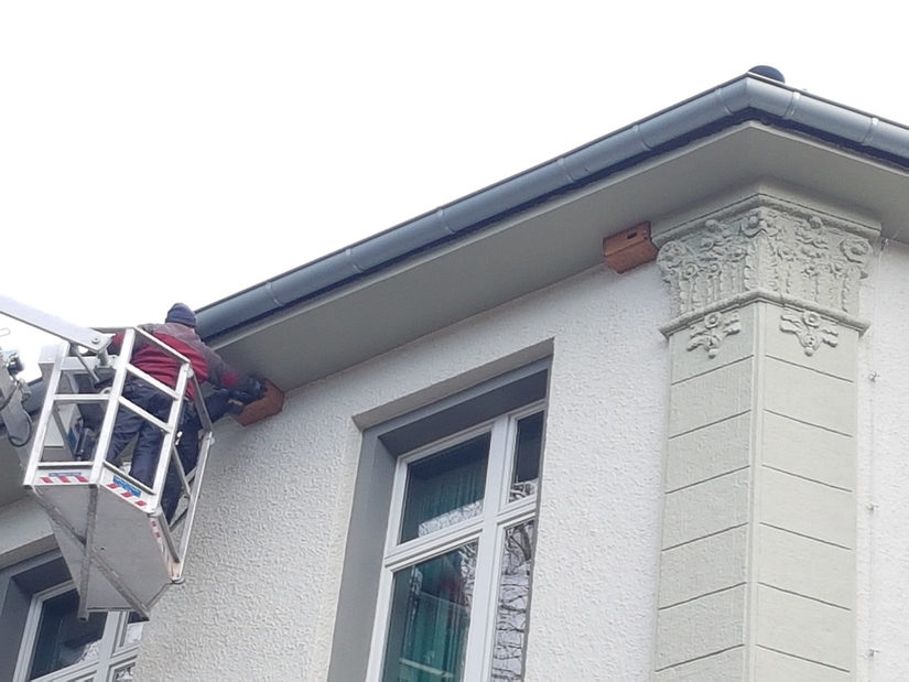 Anbringung von Mauersegler-Nistkästen