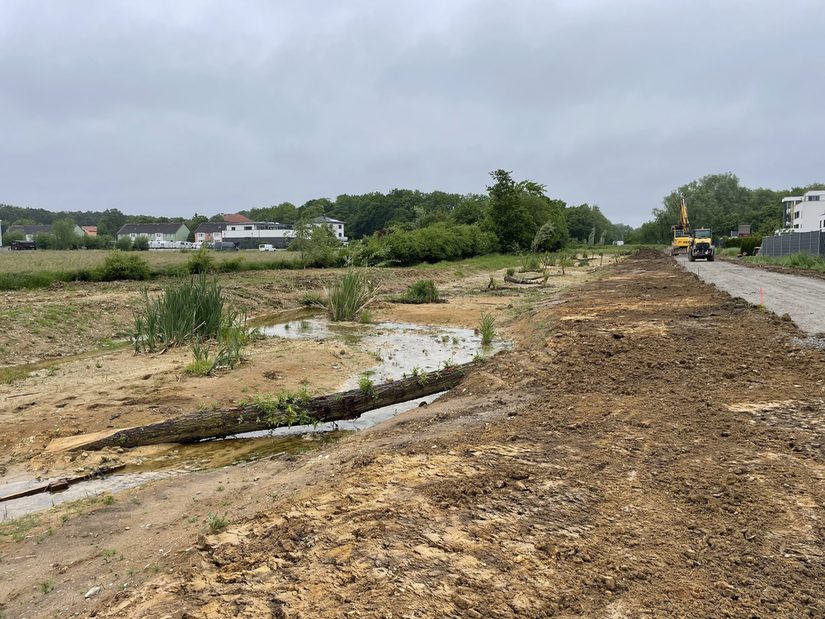 Gewässer während der Baumaßnahme