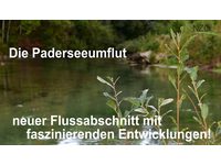 Padervideo "faszinierende Entwicklungen"