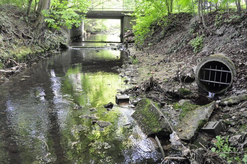 Regenwassereinleitung am Rothebach