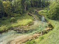 Was die Pader bewegt - Strukturvielfalt und Sedimente