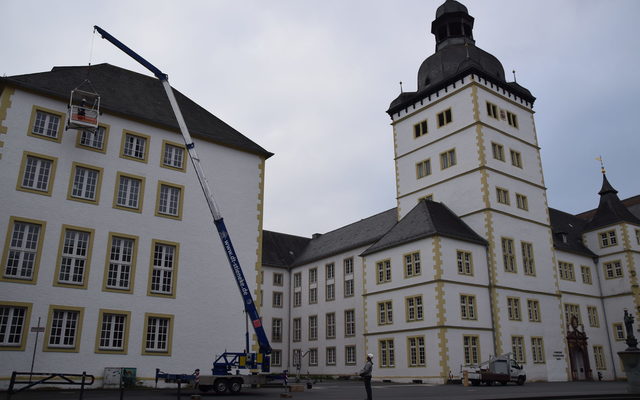 Montage der Nisthilfen am Gymnasium Theodorianum