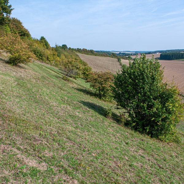 trockene, magere Hänge mit Gebüschstrukturen