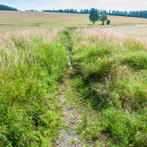 Ellerbach zwischen Dahl und Schwaney - ein Karstgewässer