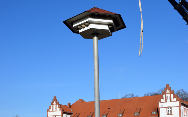 fertig aufgestelltes Schwalbenhaus