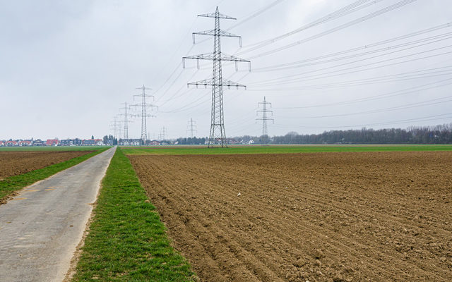 artenarmer Saum in einer ausgeräumten Ackerlandschaft