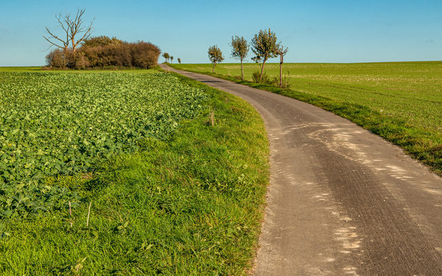 wichtige Lebensraumstrukturen in einer ausgeräumten Ackerlandschaft
