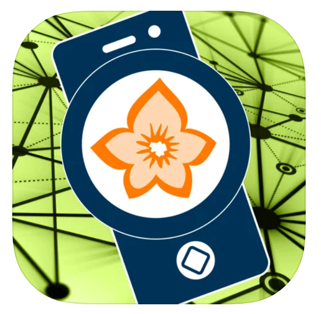 App Flora Incognita