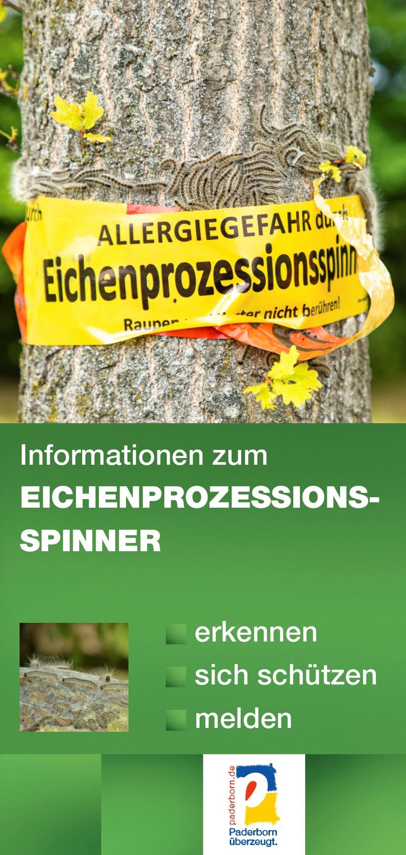 Broschüre Eichenprozessionsspinner