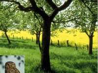 Broschüren zum Thema Natur und Umweltschutz der Stadt Paderborn