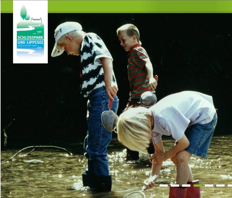 Bildungsprogramm für Kinder "Tiere im Wasser"