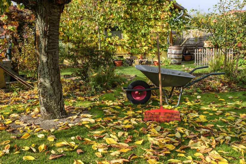 Herbst im Garten