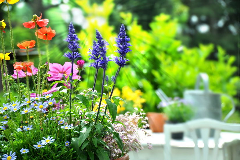 Balkon und Garten