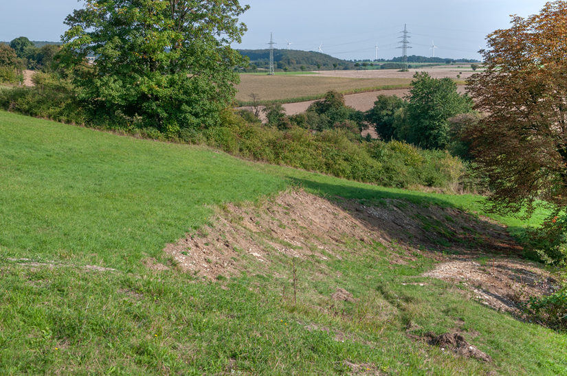 trockene Hänge mit hohem Rohbodenanteil