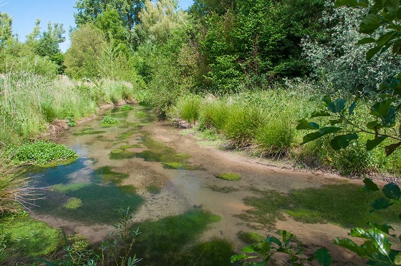 Seitenarm der Pader oberhalb des Padersees