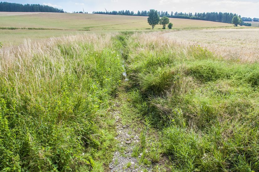 Restwasserpfützen im Ellerbach