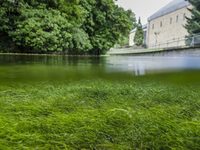 Rothobornquellbecken unterhalb der Kaiserpfalz: Naturraumgrenze zwischen Paderborner Hochfläche und Tiefland