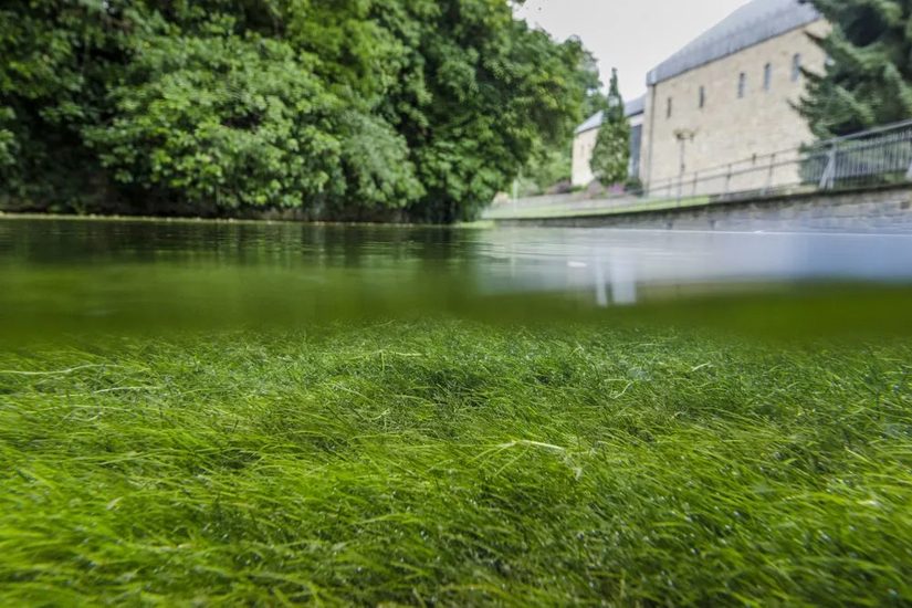 Rothobornquellbecken unterhalb der Kaiserpfalz: Naturraumgrenze zwischen Paderborner Hochfläche und Tiefland