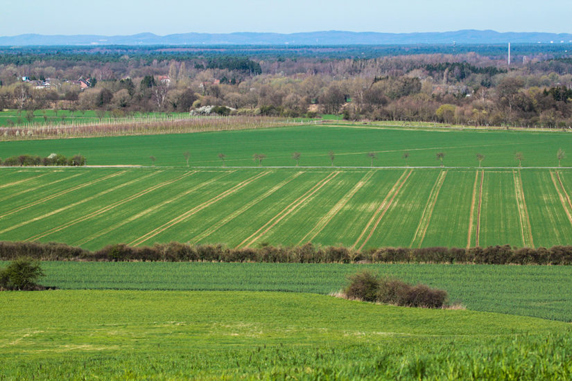 Hellwegbörde südlich von Elsen