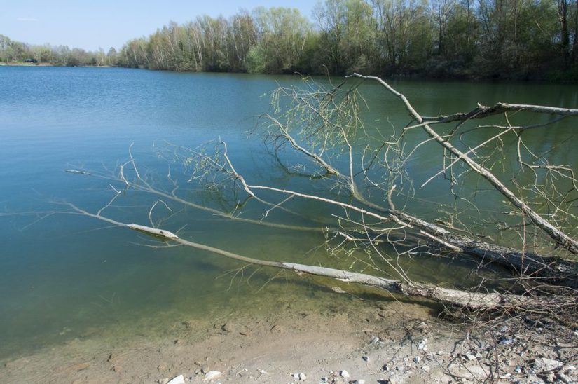 Holzbachsee