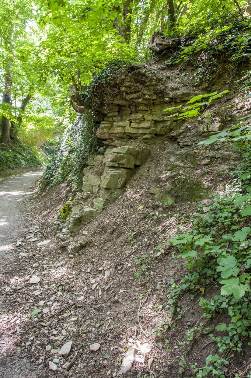 anstehender Fels im Tal des Krumme-Grund-Baches am Philosophenweg