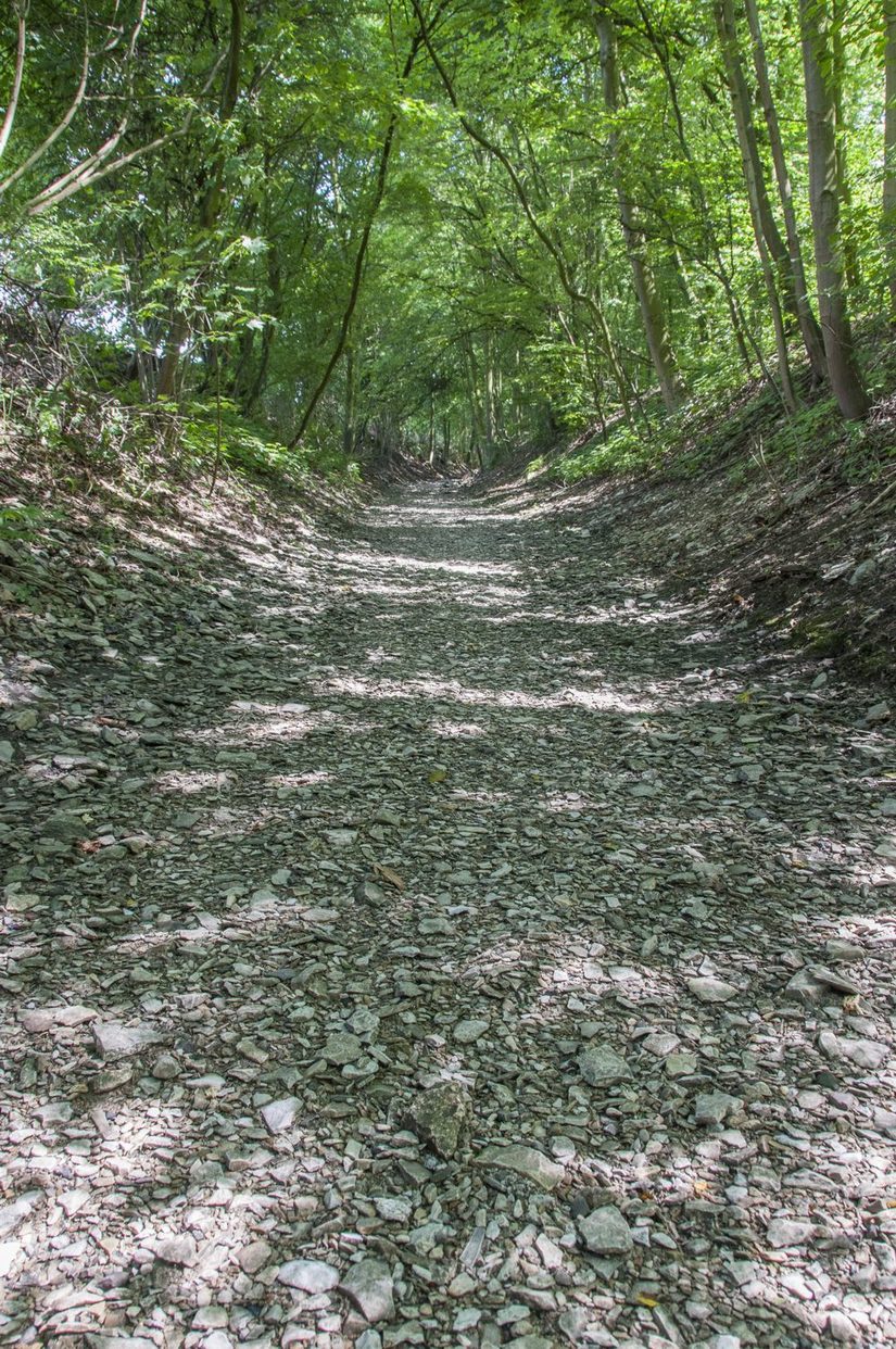 Tief eingeschnitten und mit Kalkschottern auf der Sohle - der Krumme-Grund-Bach