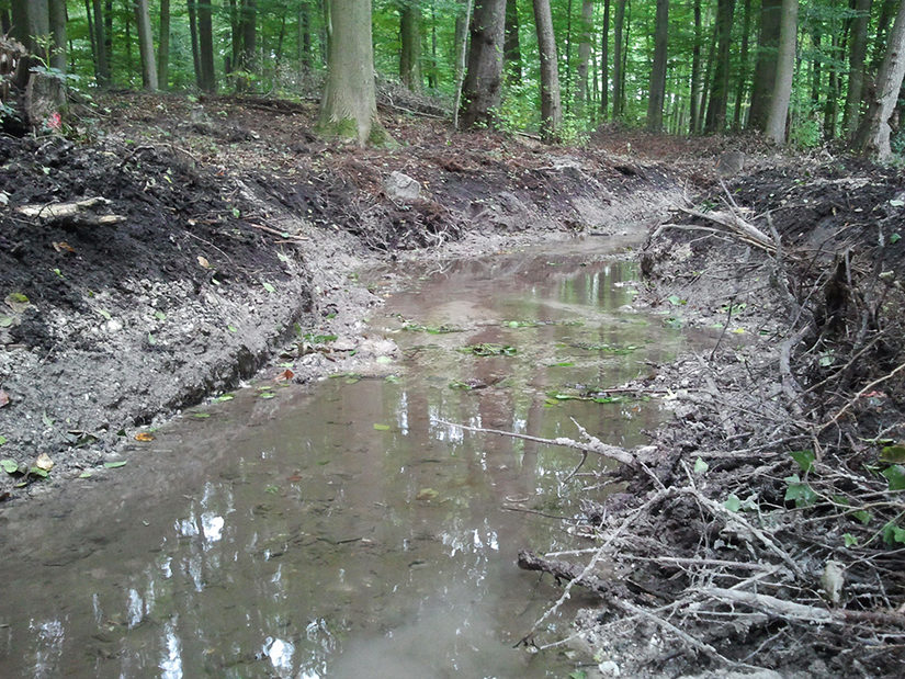 neu profilierter Abschnitt des Marienloher Baches im Wald am Schützenplatz Marienloh kurz nach der Herstellung 2012