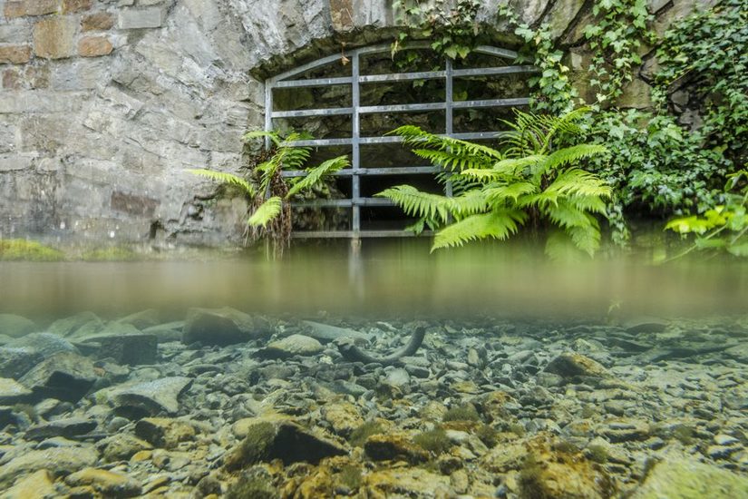 Auslauf des Quellkellers der Kaiserpfalz