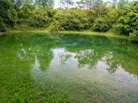 Die große Rothebachquelle mit Wasser