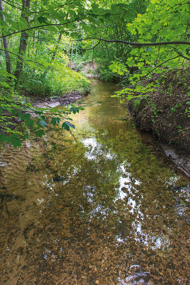 Rothebach (hier im Bereich des Rothesportplatzes)