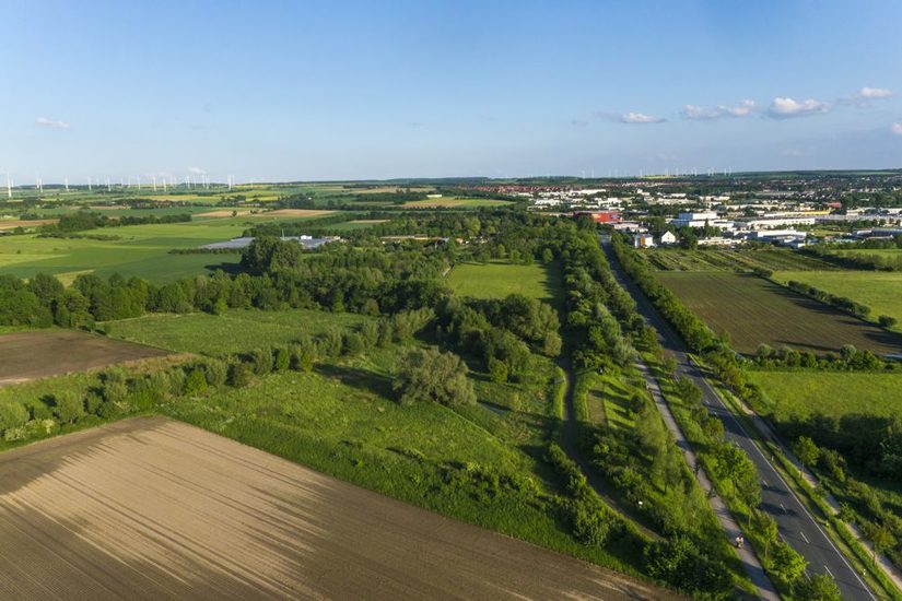 Hochwasserrückhaltebecken am George-Marshall-Damm - der Seskerbruchbach verläuft im Bereich der Gehölzreihe links im Bild