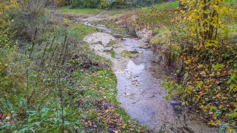 Springbach im Bereich des Fliederwegs