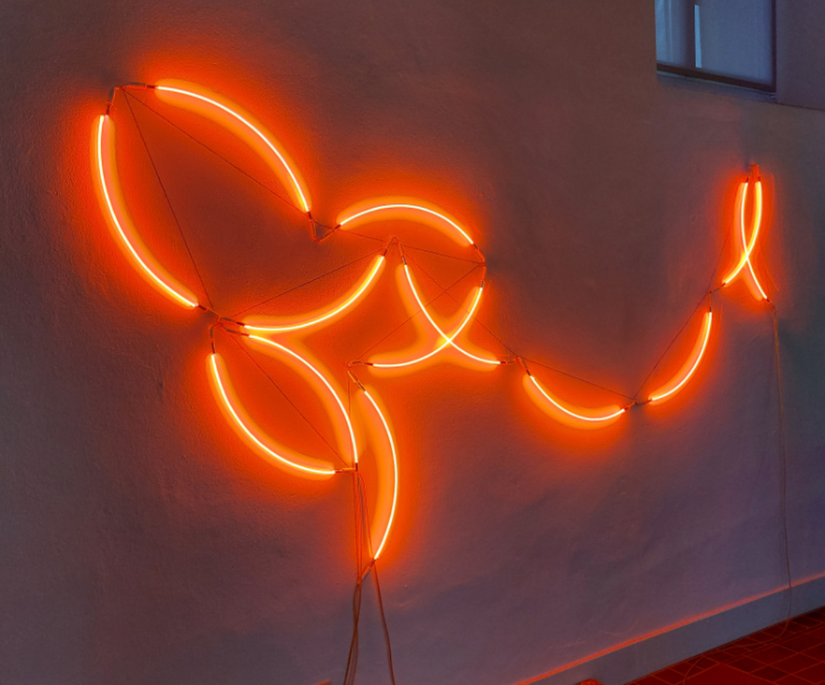 François Morellet  π- Rococo noenly, 2001