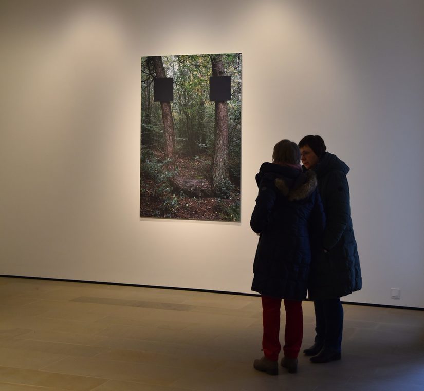 Blick auf Helmut Dicks "Baumportal", Foto auf Aludibond.