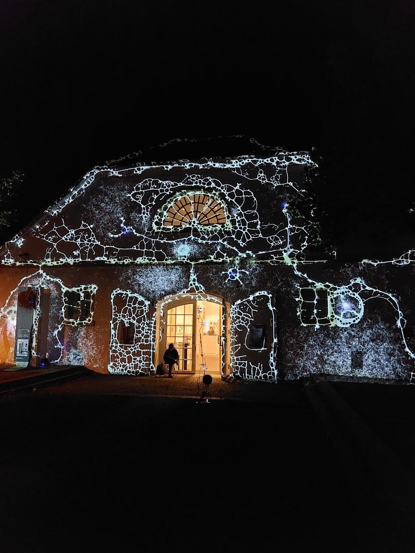 Foto der Licht- und Soundinstallation PHYSARUM der RaumZeitPiraten
