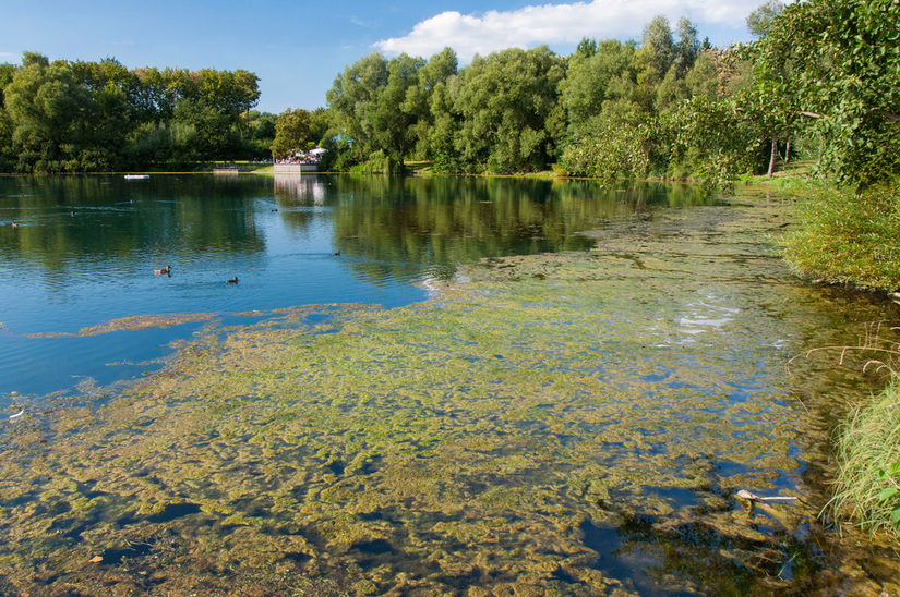 Algen auf dem Padersee