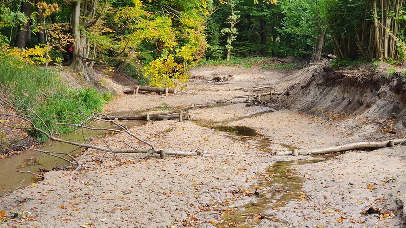 Profilaufweitung im westlichen Planungsabschnitt