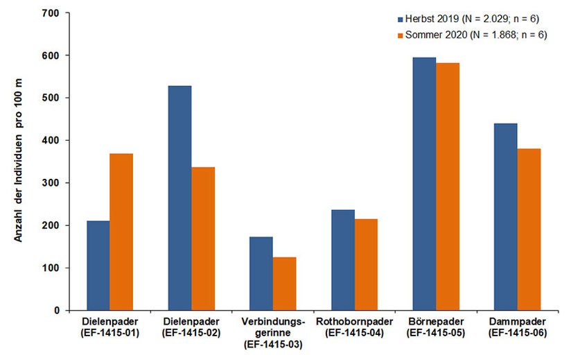 Fischanzahl im Mittleren Paderquellgebiet 2019 und 2020