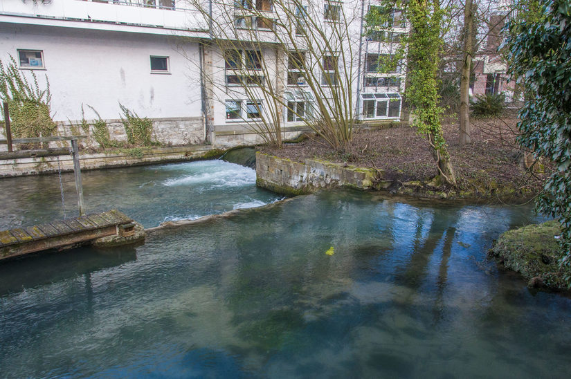 Absturz an der Mühle - keine Chance für die Fische