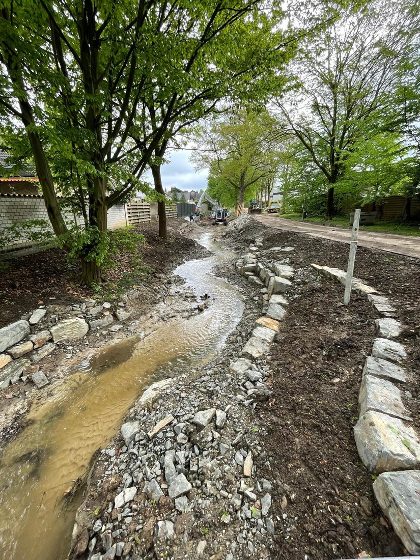 Dubelohgraben oberhalb der Haustenbecker Straße (Stand: 17.04.2024)