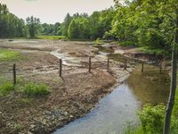 Beke vor ihrer Mündung in die Lippe