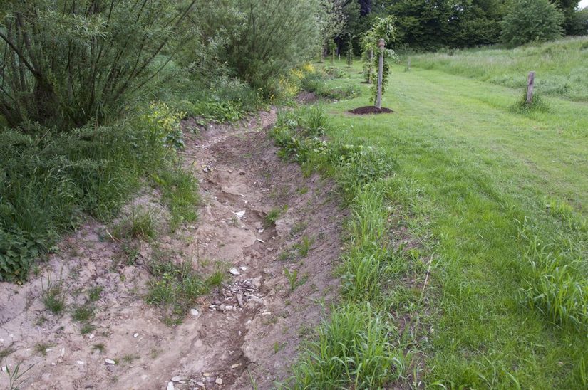 Von Weiden gesäumt - renaturierter Abschnitt des Benser Baches