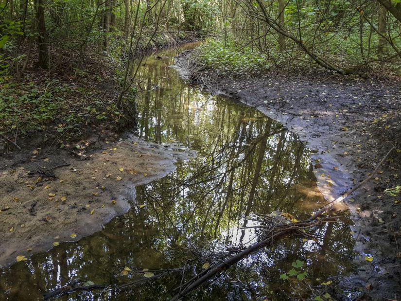 Dubelohgraben an den Fischteichen