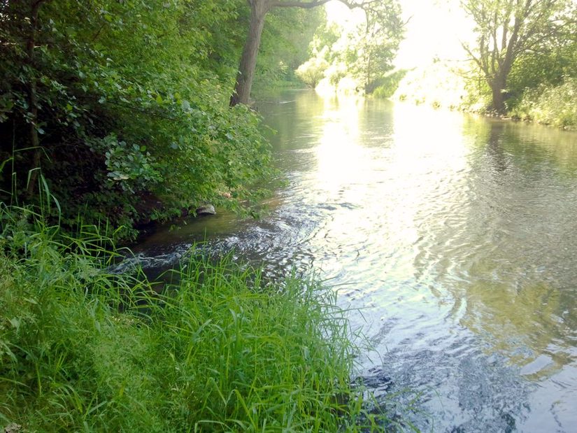 Mündung der Gunne in die Lippe