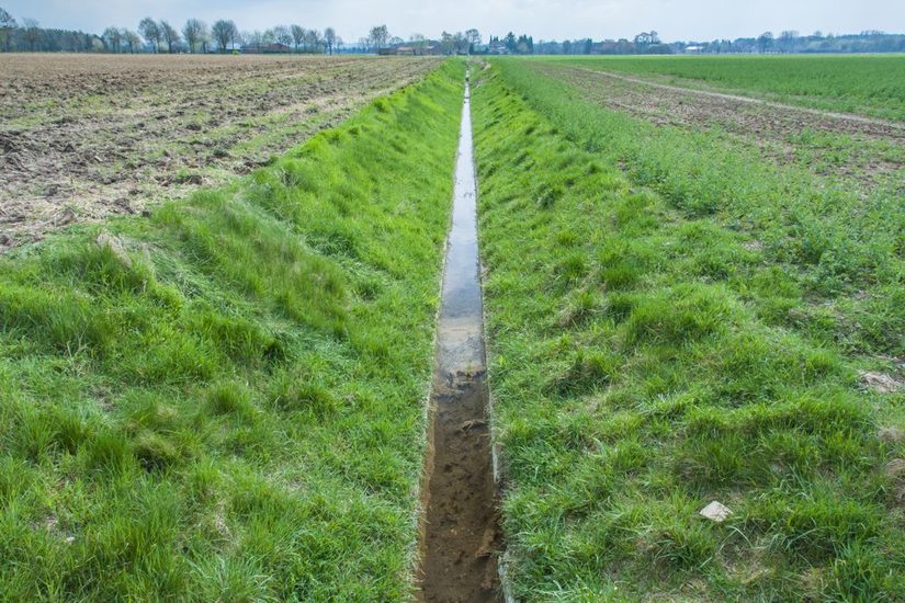 Keine Entwicklungsmöglichkeit - der Holzbach in einer Betonschale