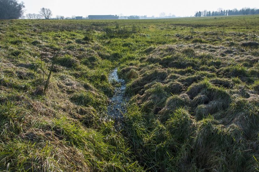 Quellbereich des Kleehofbaches