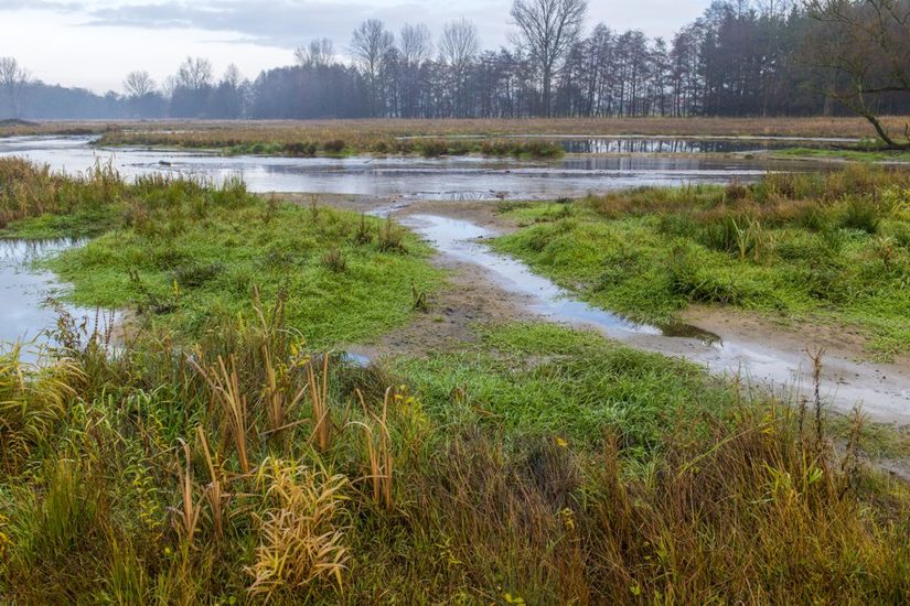 Lippe am Tallehof