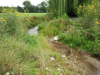 Ein renaturierter Abschnitt des Marienloher Baches