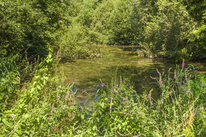Ein Kanal? Auf den ersten Blick ist kaum erkennbar, dass es sich um ein künstlich angelegtes Gewässer handelt.